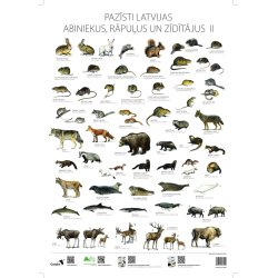 Plakatas Pazīsti Latvijas abiniekus, rāpuļus un zīdītājus II