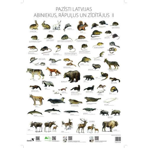 Plakāts Pazīsti Latvijas abiniekus, rāpuļus un zīdītājus II