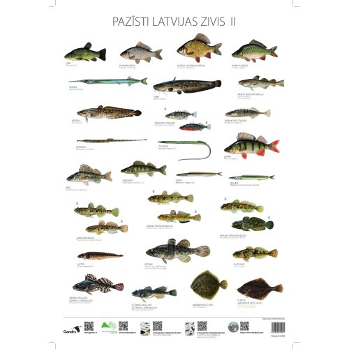 Poster Pazīsti Latvijas zivis II