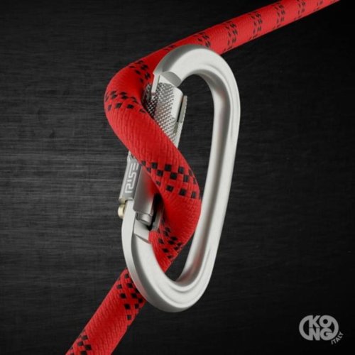 Carabiner Ovalone Alu RISE Lock™