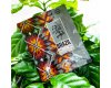 Kava Brazil Drip Coffee Bag 11g