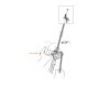 Descender Grigri® +