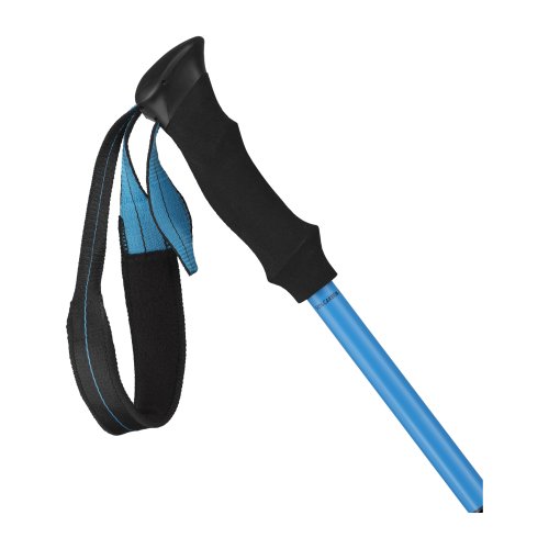 Poles Ubic Carbon Pair