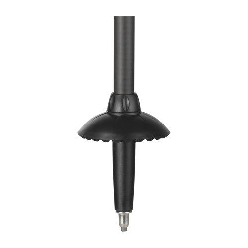 Poles Ubic Carbon Pair