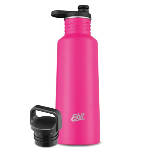 Pudele Pictor Stainless Steel Sports Bottle 750ml