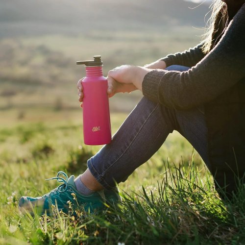 Pudele Pictor Stainless Steel Sports Bottle 750ml
